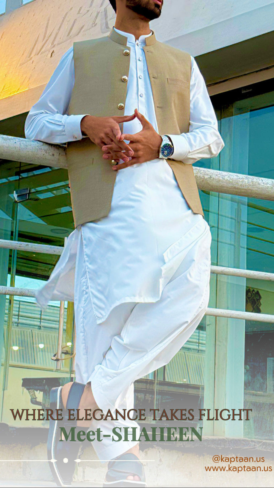 Shaheen